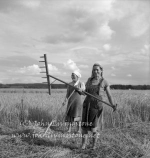 Farm Women,  Austria, 1952 